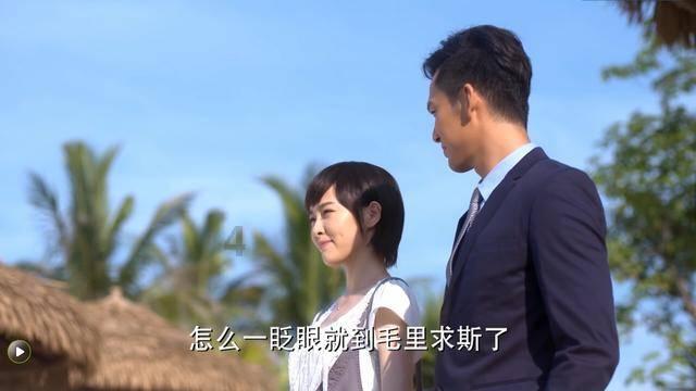 可爱小猫向上跳